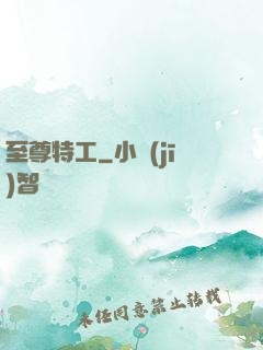至尊特工