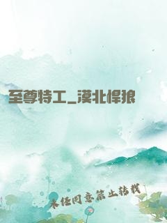 至尊特工