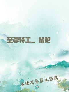 至尊特工