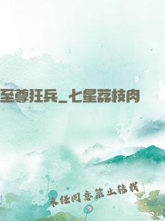 至尊狂兵