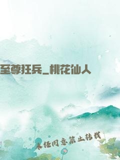 至尊狂兵