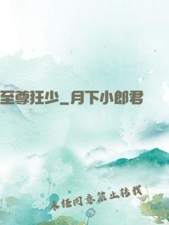 至尊狂少