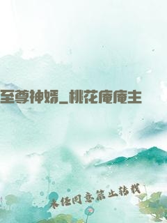 至尊神婿