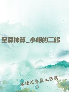 至尊神算