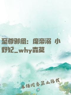至尊邪凰：魔帝溺寵小野妃