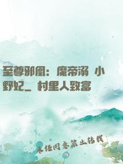 至尊邪凰：魔帝溺寵小野妃