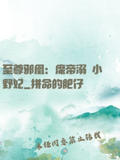 至尊邪凰：魔帝溺寵小野妃