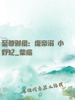 至尊邪凰：魔帝溺寵小野妃