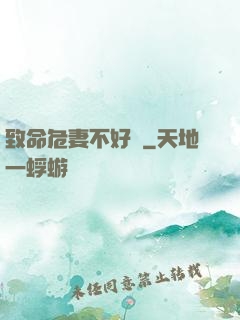 致命危妻不好寵