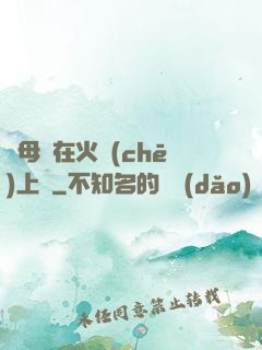 與母親在火車(chē)上鋪