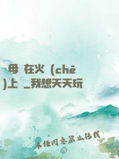 與母親在火車(chē)上鋪
