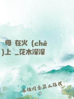 與母親在火車(chē)上鋪
