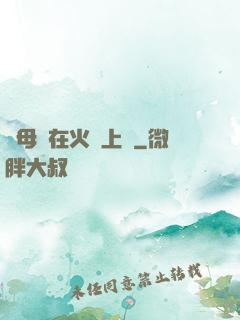 與母親在火車上鋪
