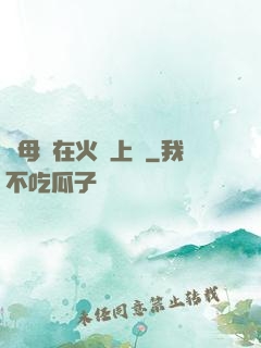 與母親在火車上鋪