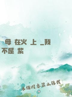 與母親在火車上鋪