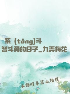 與系統(tǒng)斗智斗勇的日子
