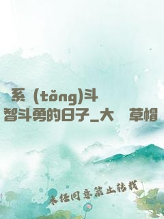 與系統(tǒng)斗智斗勇的日子