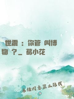 舉世震驚：你管這叫博物館？