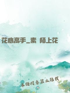 花心高手