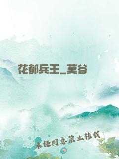 花都兵王