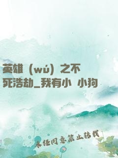 英雄無(wú)敵之不死浩劫