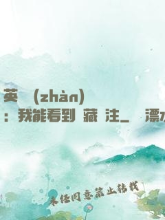 英靈戰(zhàn)爭：我能看到隱藏備注