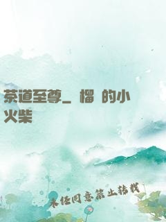 茶道至尊
