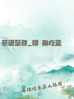 茶道至尊