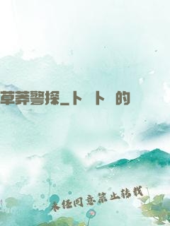 草莽警探
