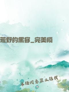 荒野的黑客