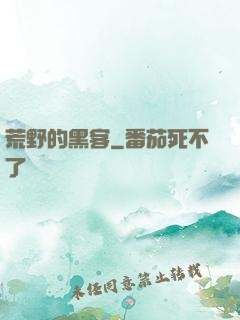 荒野的黑客