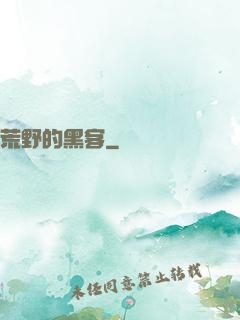 荒野的黑客