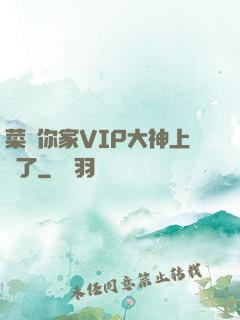 菜鳥你家VIP大神上線了