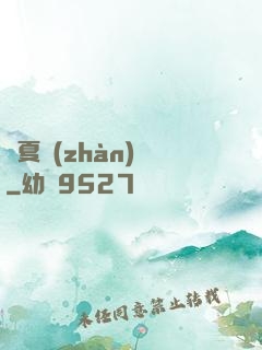 華夏戰(zhàn)龍