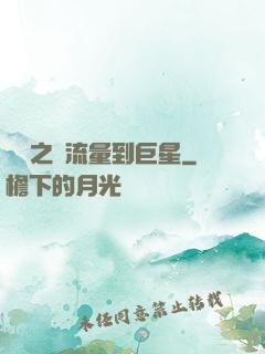 華娛之從流量到巨星