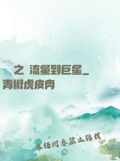 華娛之從流量到巨星