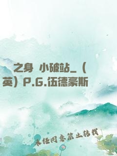 華娛之身懷小破站
