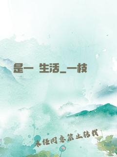 華娛是一種生活
