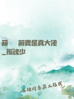萌寶來襲前妻是真大佬