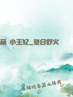 萌廚小王妃