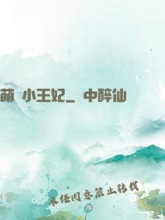 萌廚小王妃