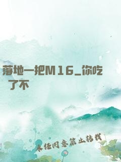 落地一把M16