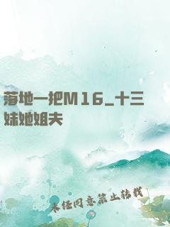 落地一把M16