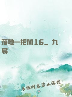 落地一把M16