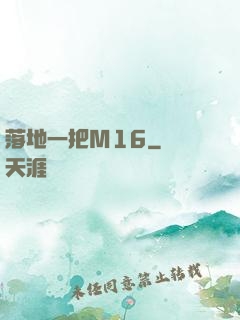落地一把M16