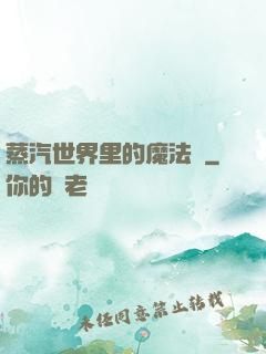 蒸汽世界里的魔法師