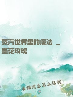 蒸汽世界里的魔法師