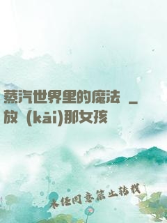 蒸汽世界里的魔法師