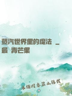 蒸汽世界里的魔法師