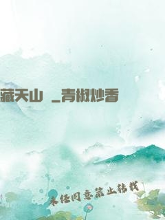 藏天山莊